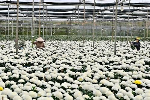 Giảm nghèo phải bắt đầu từ khoa học, công nghệ