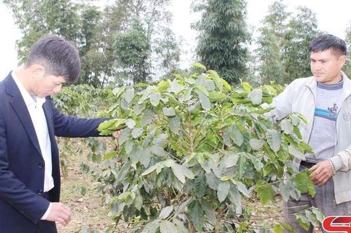 Khai thác lợi thế phát triển kinh tế bền vững