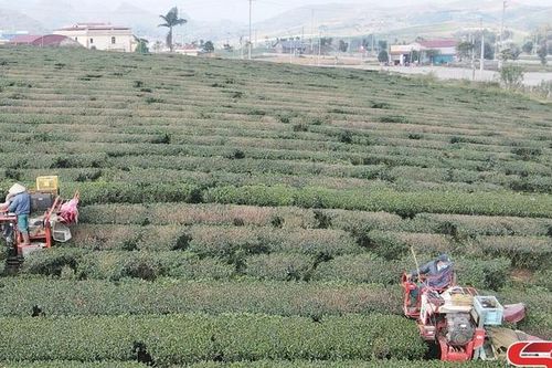 'Việc gì lợi cho dân, ta phải hết sức làm'
