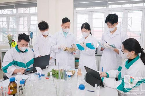 Khơi dậy tinh thần khởi nghiệp từ nông sản quê hương