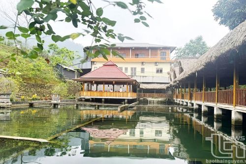 Khai thác tiềm năng nuôi cá nước lạnh