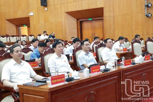 Tập huấn sử dụng AI cho đại biểu HĐND tỉnh