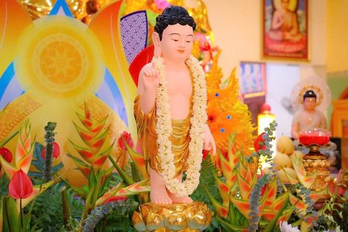 Các tự viện hân hoan kính mừng ngày Đức Phật đản sinh