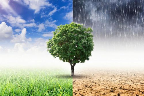 Thời tiết cực đoan gia tăng, Việt Nam đối mặt nhiều thách thức