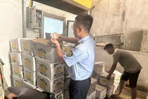 Quảng Ninh xử lý 56 vụ vi phạm an toàn thực phẩm, tiêu hủy hàng gần 1,7 tỷ đồng