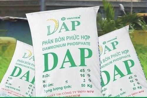 DAP – Vinachem (DDV) lên kế hoạch kinh doanh thận trọng cho quý II/2025 dù quý đầu năm lãi lớn