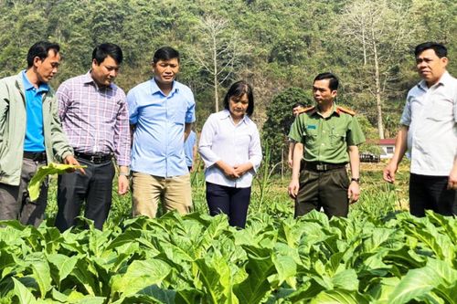 Lan tỏa Phong trào thi đua 'Vì người nghèo - Không để ai bị bỏ lại phía sau'