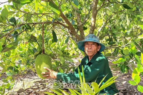 Cựu chiến binh làm kinh tế giỏi