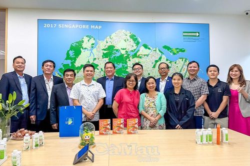 Cà Mau tăng cường xúc tiến đầu tư và thương mại với Singapore