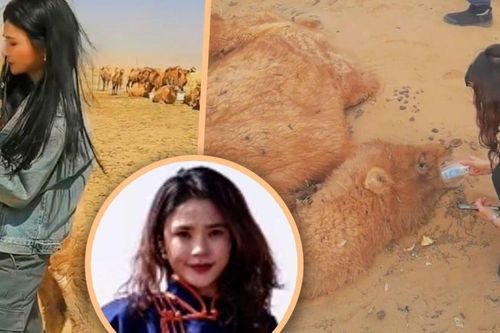 Cứu lạc đà giữa nắng cháy sa mạc, nữ hướng dẫn viên du lịch khiến cư dân mạng cảm phục