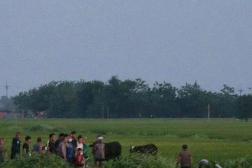 Hà Nội: Ba học sinh thương vong khi dùng gậy sắt để lấy diều mắc trên đường dây điện