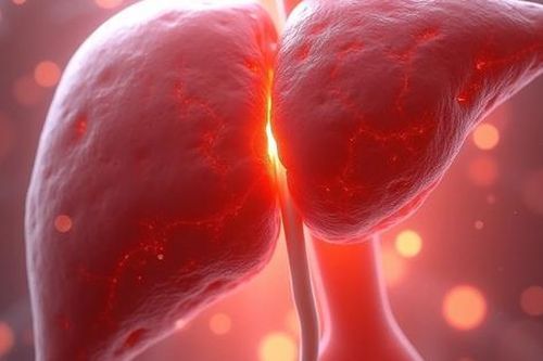 Vì sao không nên tùy tiện dùng thuốc bổ gan?