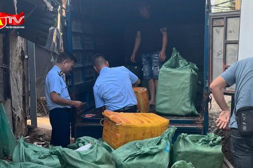 Cận cảnh gần 800 kg trứng gà non, tràng gà '3 không' suýt lên bàn nhậu