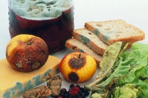 Bạn có chắc bữa ăn hôm nay không gieo mầm ung thư?