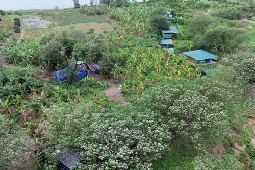 Hà Nội: xem xét trách nhiệm tập thể, cá nhân để xảy ra vi phạm tại bãi giữa sông Hồng