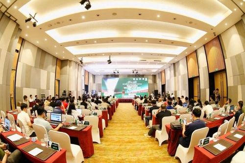 Ra mắt Giải bóng đá 7 người vô địch quốc gia 2025