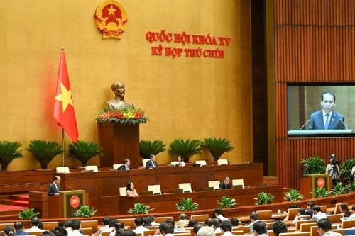 Đề xuất cho bán ngay tang vật, phương tiện vi phạm hành chính bị tạm giữ