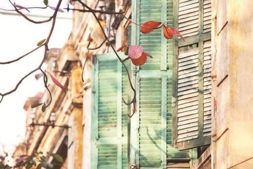 Những ô cửa kể chuyện