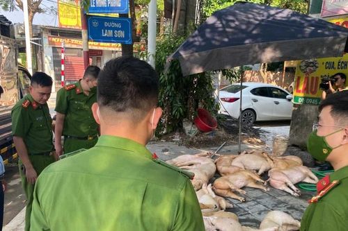 Phát hiện 800 kg thịt lợn bẩn chuẩn bị tuồn ra thị trường