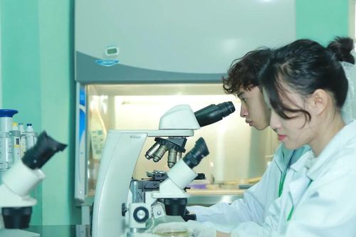 Nền móng cho việc sửa đổi toàn diện Luật Giáo dục đại học