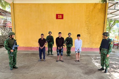 Bắt giữ ba đối tượng có hành vi tàng trữ trái phép chất ma túy