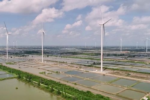 Đưa Bạc Liêu trở thành một trong những Trung tâm năng lượng sạch của quốc gia