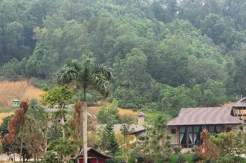 Chủ tịch Hà Nội yêu cầu khẩn trương xử lý vụ lấn chiếm đất rừng xây khu nghỉ dưỡng tại Thạch Thất