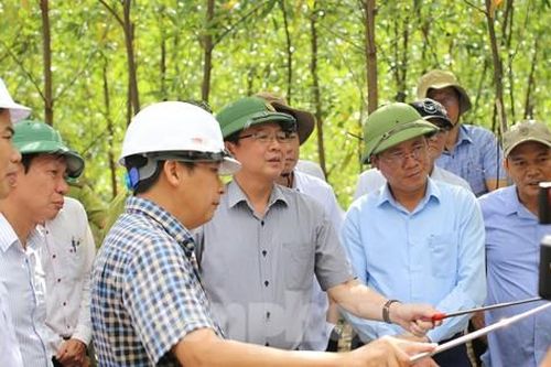 Bí thư, Chủ tịch tỉnh Bình Định khảo sát tiềm năng núi Vũng Chua