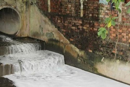 Truy tìm dòng nước 'lạ' từ khu công nghiệp đổ ra suối Bà Lúa ở Đồng Nai