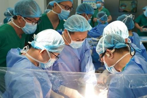 TP HCM: Tiếp tục tuyển dụng viên chức y tế và giáo viên trong giai đoạn sắp xếp