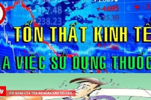 Tổn thất lớn về kinh tế do áp thuế thuốc lá ở Việt Nam đang quá thấp