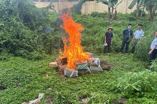 TPHCM tiêu hủy hơn 50 tấn nội tạng không rõ nguồn gốc trị giá gần 4,5 tỷ đồng