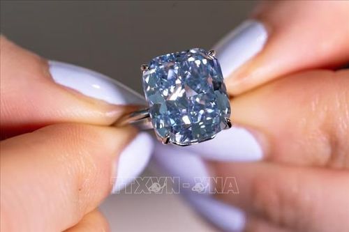 Đấu giá viên kim cương xanh quý hiếm từ Nam Phi