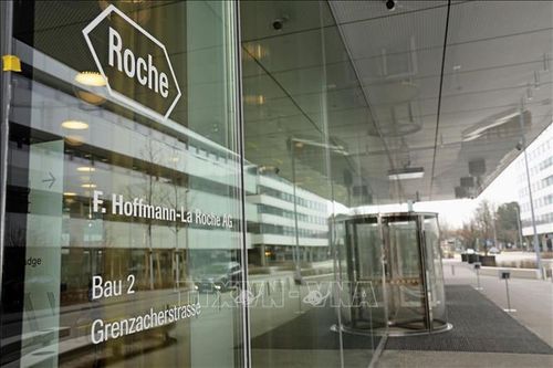 Khoản đầu tư 50 tỷ USD của Roche gặp trở ngại do sắc lệnh về giá thuốc