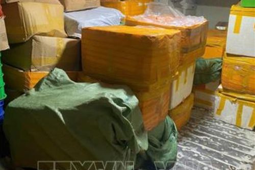 Phát hiện gần 8 tấn sữa, thực phẩm chức năng không rõ nguồn gốc