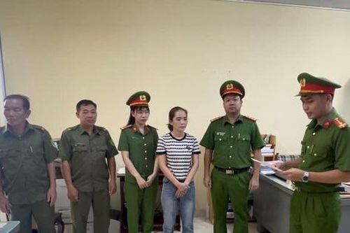 Đồng Nai: Khởi tố, bắt tạm giam nữ kế toán 'rút ruột' công ty hơn 2 tỷ đồng