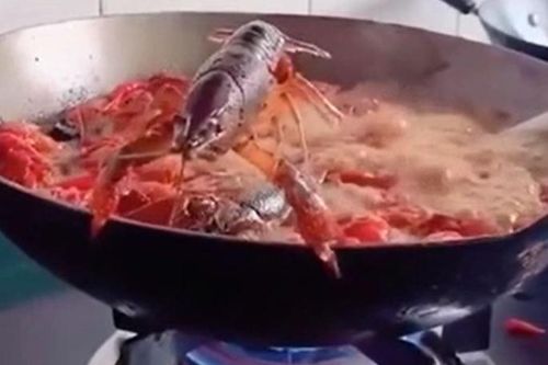 CLIP: Tôm hùm đất tung cú nhảy ngoạn mục, thoát khỏi chảo dầu đang sôi