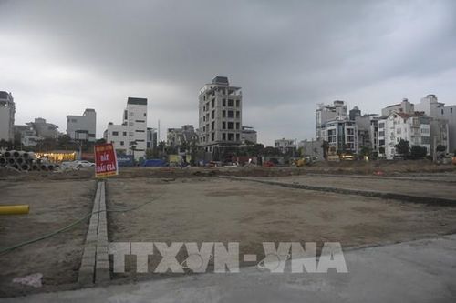 Đồng Nai thành lập tổ công tác đặc biệt hỗ trợ đấu giá đất