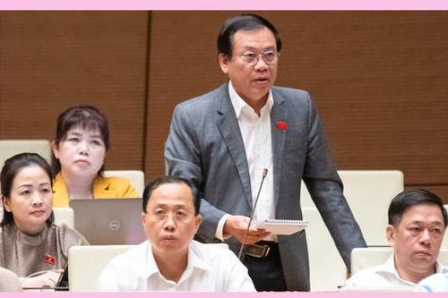 Nên xác định các tổ chức chính trị - xã hội là 'thành viên nòng cốt' của Mặt trận