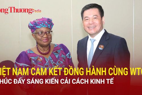 Việt Nam cam kết đồng hành cùng WTO thúc đẩy sáng kiến cải cách kinh tế