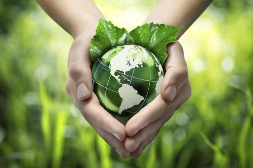 Chuyển đổi xanh không còn là 'cuộc chơi' của riêng các 'ông lớn'