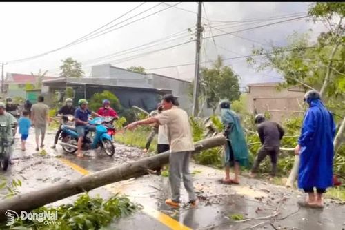 Đề phòng mưa dông, lốc xoáy đầu mùa mưa