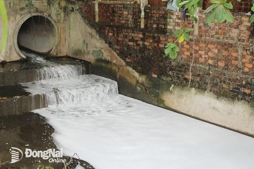 Biên Hòa khẩn trương xác minh nguồn xả thải gây sủi bọt ở dòng suối Bà Lúa