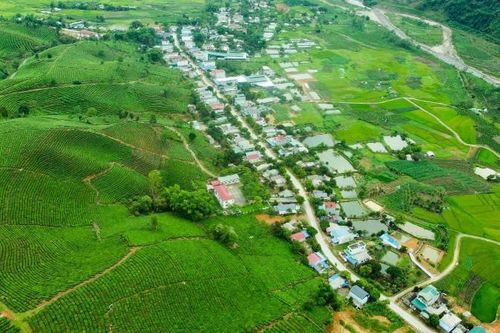 Lễ hội Trà huyện Tân Uyên lần thứ II năm 2025 sẽ diễn ra trong 2 ngày (24 - 25/5)