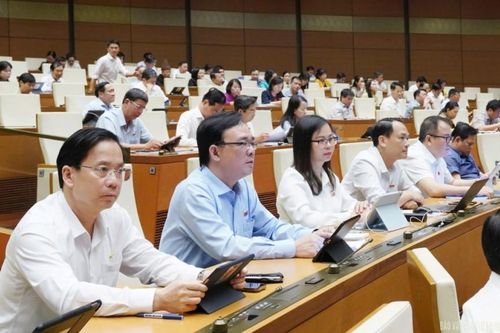 Đại biểu Quốc hội tỉnh góp ý vào một số dự thảo luật