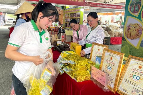 Hợp tác xã nông nghiệp nắm bắt cơ hội phát triển