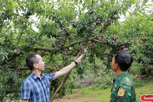 Xây dựng chuỗi giá trị trong sản xuất, tiêu thụ sản phẩm