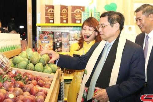 Cây ăn quả trên đất dốc - Biến không thành có, biến khó thành dễ