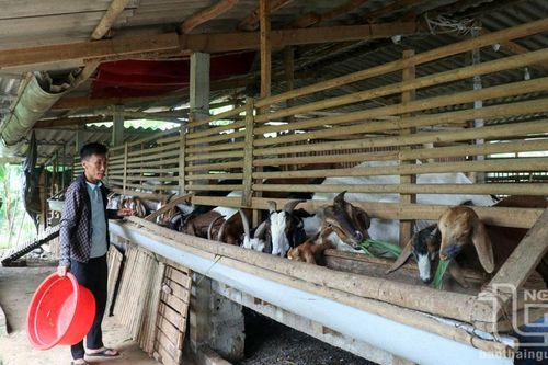 Gần 30 tỷ đồng vốn ưu đãi hỗ trợ hộ sản xuất, kinh doanh tại vùng khó khăn