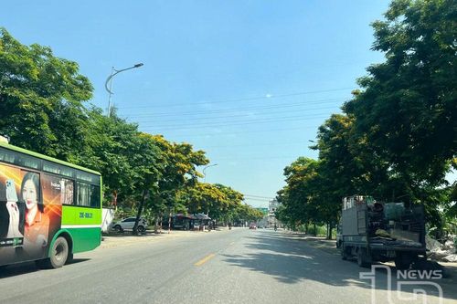 Tăng mật độ cây xanh cho thành phố công nghiệp